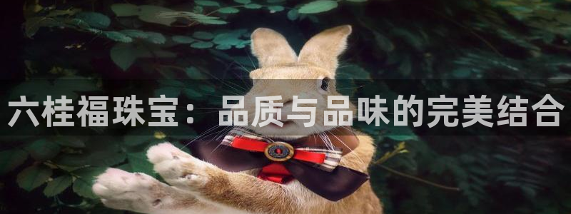 开丰娱乐登入地址：六桂福珠宝：品质与品味的完美结合