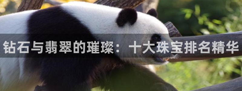 开丰娱乐后：钻石与翡翠的璀璨：十大珠宝排名精华
