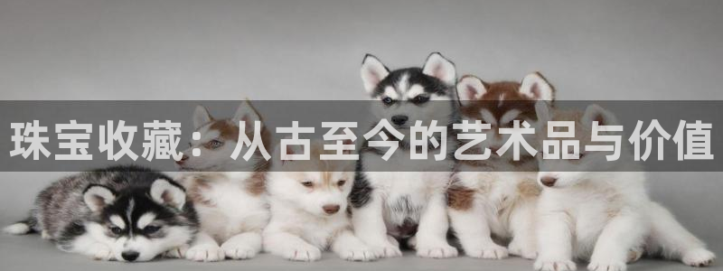 开丰娱乐网址：珠宝收藏：从古至今的艺术品与价值
