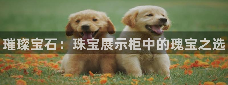 开丰娱乐趣 7O935：璀璨宝石：珠宝展示柜中的瑰宝之选