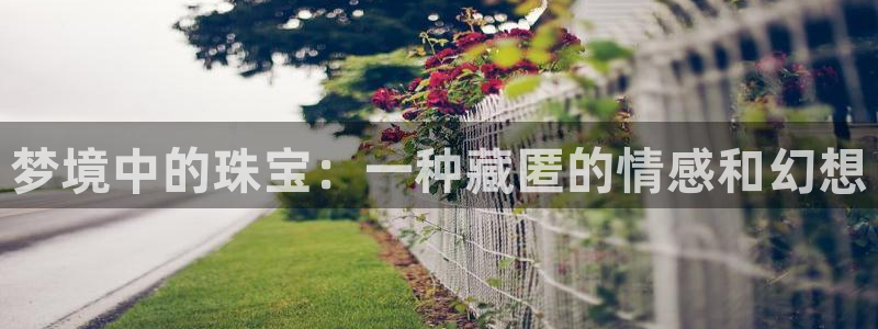 开丰娱乐 赢咖一