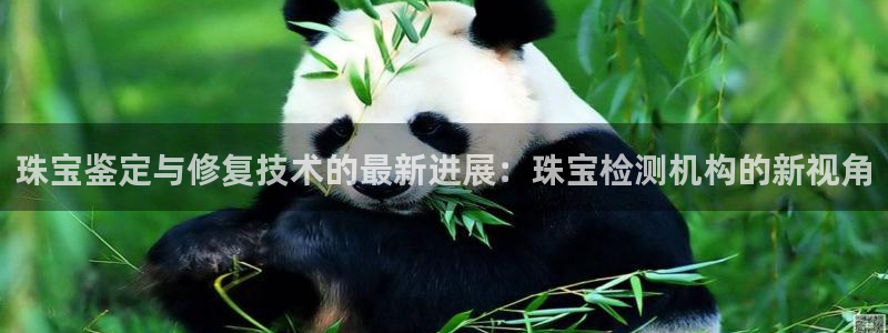开丰娱乐与六七五一38