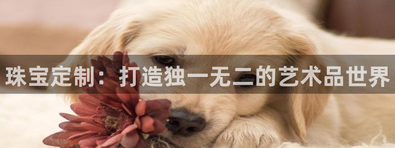 开丰娱乐官网最新消息：珠宝定制：打造独一无二的艺术品世界