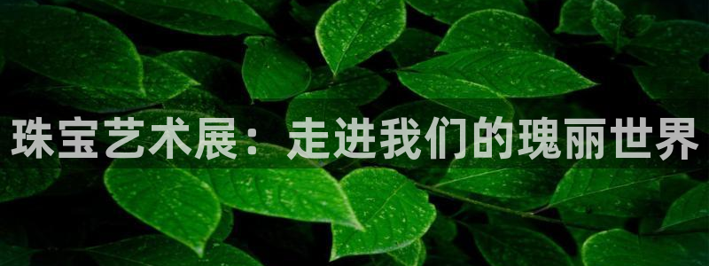 开丰娱乐月：珠宝艺术展：走进我们的瑰丽世界