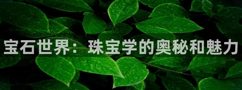 开丰娱乐注册自判官333OO：宝石世界：珠宝学的奥秘和魅力