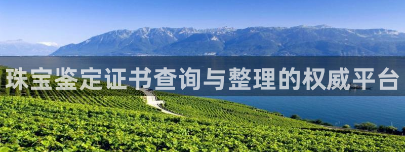 开丰娱乐官网平台电话：珠宝鉴定证书查询与整理的权威平台