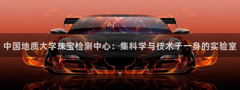 开丰娱乐上：中国地质大学珠宝检测中心：集科学与技术于一身的实验室