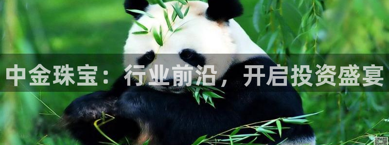 开丰娱乐网站官网入口：中金珠宝：行业前沿，开启投资盛宴