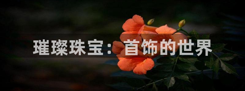 开丰娱乐上：璀璨珠宝：首饰的世界