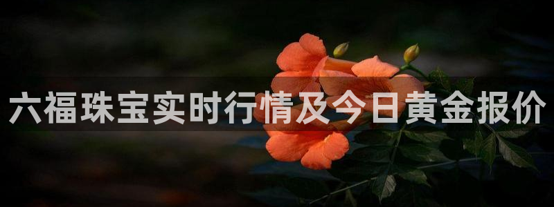开丰娱乐寸六七五一38：六福珠宝实时行情及今日黄金报价