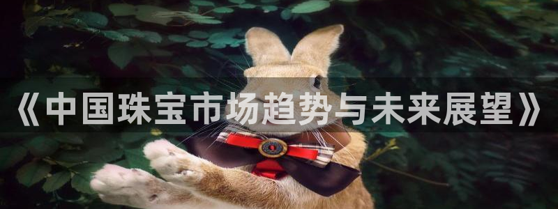 开丰娱乐主管家去判官333OO：《中国珠宝市场趋势与未来展望》