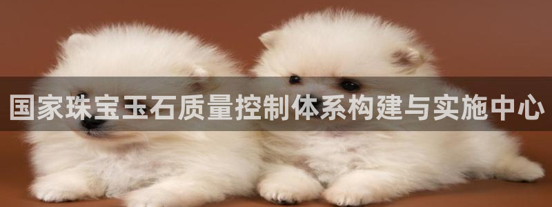 开丰娱乐予 7O935：国家珠宝玉石质量控制体系构建与实施中心