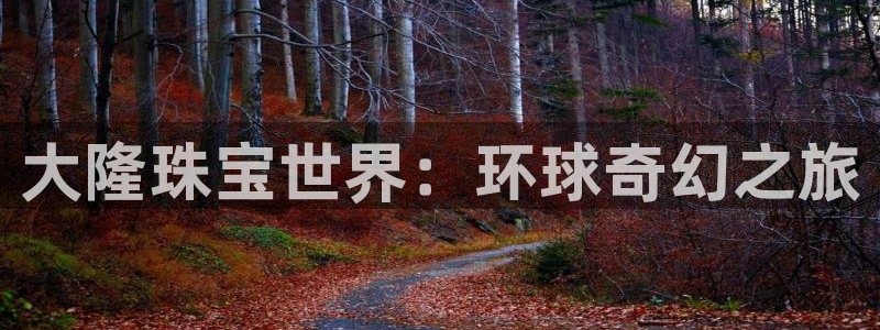 开丰娱乐登入地址查询：大隆珠宝世界：环球奇幻之旅