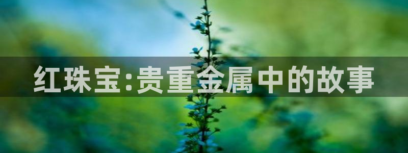 开丰娱乐违法吗：红珠宝:贵重金属中的故事