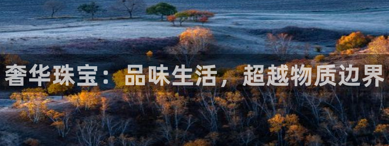 开丰娱乐网站官网首页：奢华珠宝：品味生活，超越物质边界