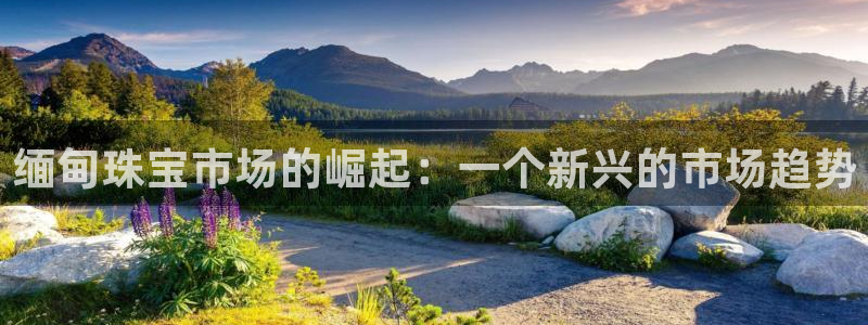 开丰娱乐寸67五壹叁八：缅甸珠宝市场的崛起：一个新兴的市场趋势