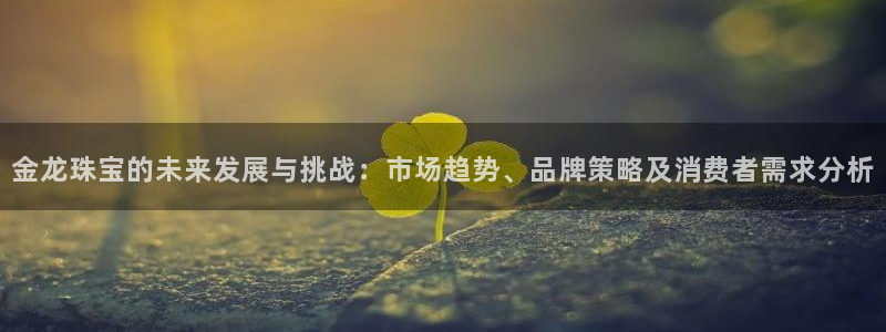 开丰娱乐上7O667：金龙珠宝的未来发展与挑战：市场趋势、品牌策略及消费者需求分