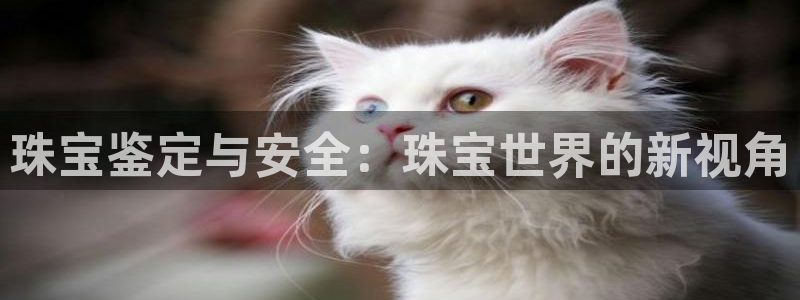 开丰娱乐行业恢复时间：珠宝鉴定与安全：珠宝世界的新视角