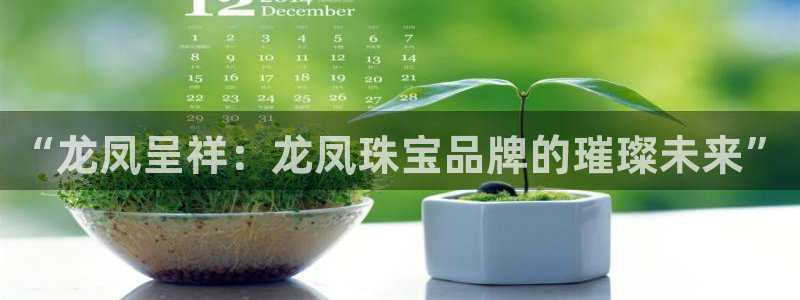 开丰娱乐科技：“龙凤呈祥：龙凤珠宝品牌的璀璨未来”