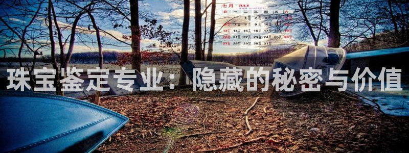 开丰娱乐新登录平台：珠宝鉴定专业：隐藏的秘密与价值