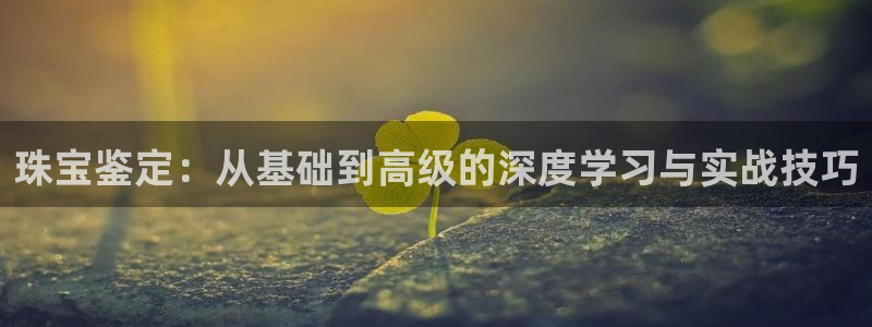 开丰娱乐网址：珠宝鉴定：从基础到高级的深度学习与实战技巧