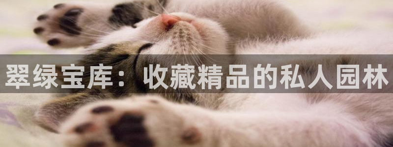 圩丰刚开的娱乐场所：翠绿宝库：收藏精品的私人园林