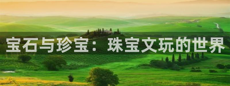 开丰娱乐登录地址入口：宝石与珍宝：珠宝文玩的世界