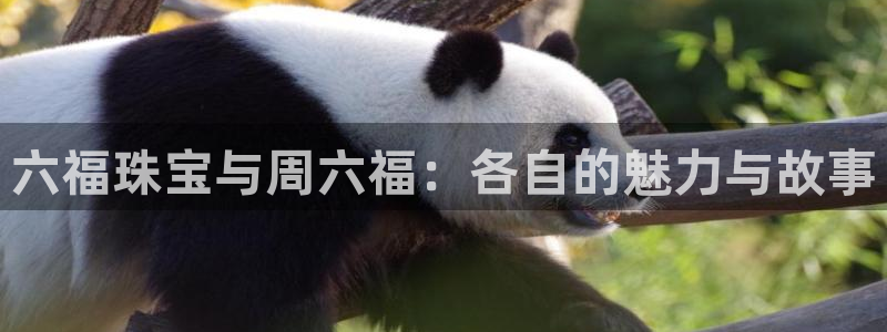 开丰娱乐万六七五一38：六福珠宝与周六福：各自的魅力与故事