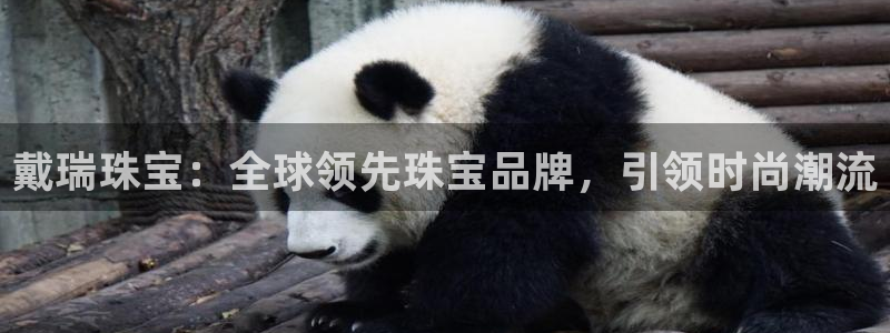 开丰娱乐登入地址是什么：戴瑞珠宝：全球领先珠宝品牌，引领时尚潮流