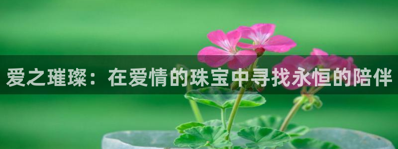 开丰娱乐登录网址：爱之璀璨：在爱情的珠宝中寻找永恒的陪伴