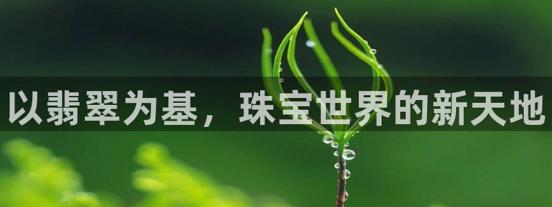 开丰娱乐开户：以翡翠为基，珠宝世界的新天地