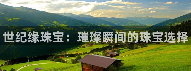 开丰娱乐网站官网：世纪缘珠宝：璀璨瞬间的珠宝选择