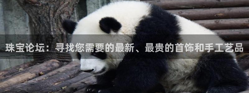 开丰娱乐下：珠宝论坛：寻找您需要的最新、最贵的首饰和手工艺品