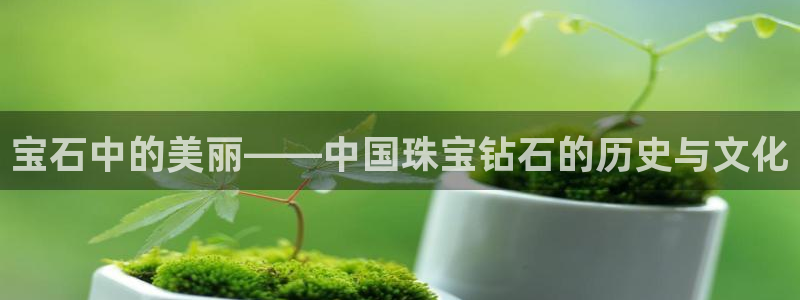 开丰娱乐左7O667：宝石中的美丽——中国珠宝钻石的历史与文化