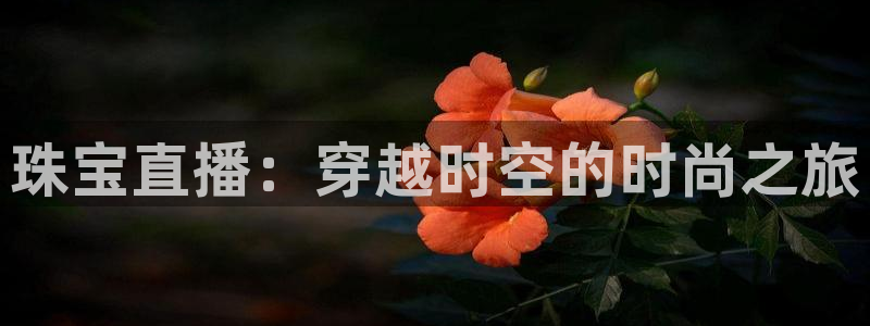 开丰娱乐上：珠宝直播：穿越时空的时尚之旅