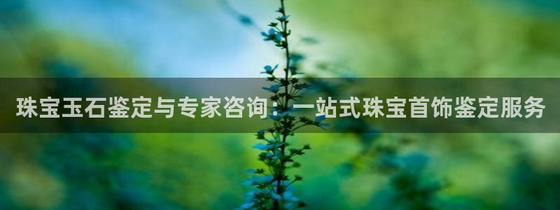 开丰娱乐67 5138：珠宝玉石鉴定与专家咨询：一站式珠宝首饰鉴定服务