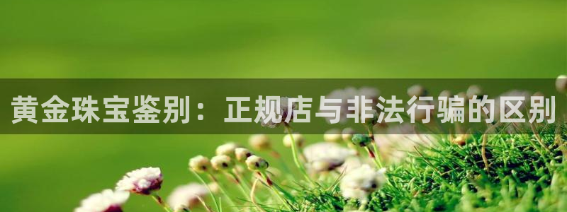 开丰娱乐后：黄金珠宝鉴别：正规店与非法行骗的区别
