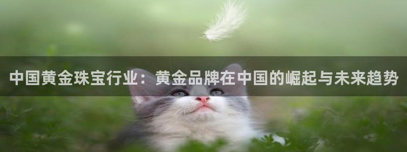 开丰娱乐怎么样：中国黄金珠宝行业：黄金品牌在中国的崛起与未来趋势