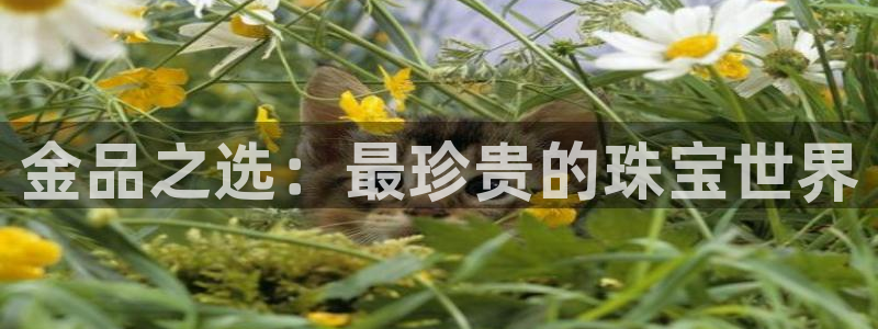 开丰娱乐平台注册时间：金品之选：最珍贵的珠宝世界