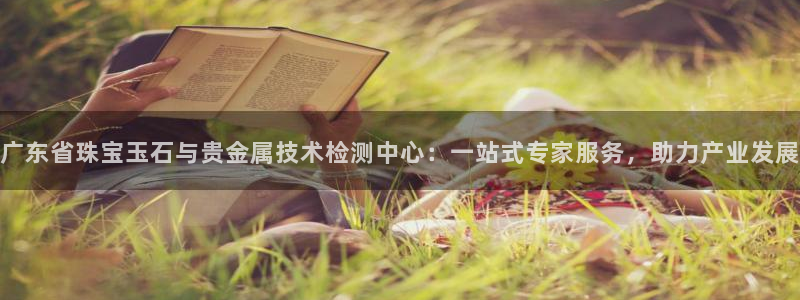 开丰娱乐主管：广东省珠宝玉石与贵金属技术检测中心：一站式专家服务，助力产业发展