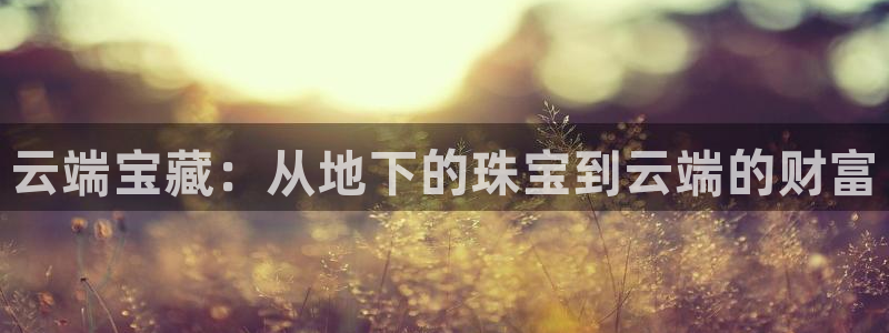 开丰娱乐官网平台网址：云端宝藏：从地下的珠宝到云端的财富