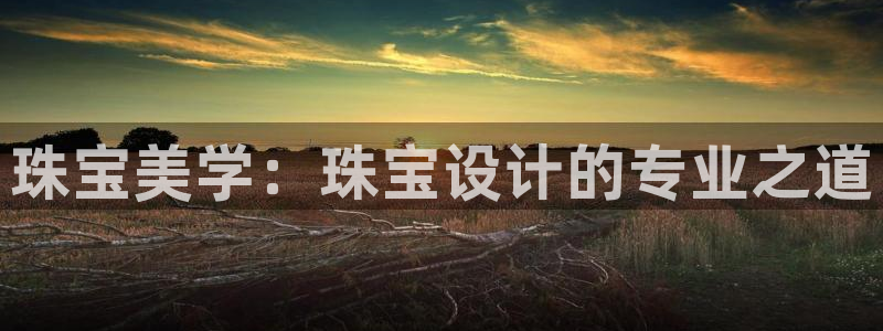 开丰娱乐平台登录网址：珠宝美学：珠宝设计的专业之道