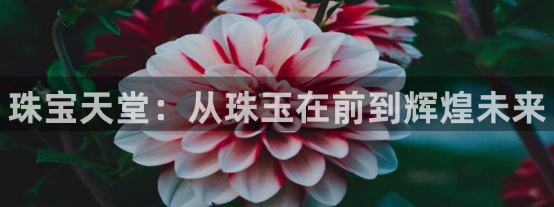 开丰娱乐网站：珠宝天堂：从珠玉在前到辉煌未来