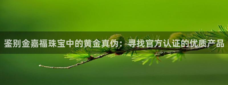 开丰娱乐平台地址电话：鉴别金嘉福珠宝中的黄金真伪：寻找官方认证的优质产品