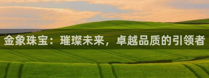开丰娱乐测速：金象珠宝：璀璨未来，卓越品质的引领者