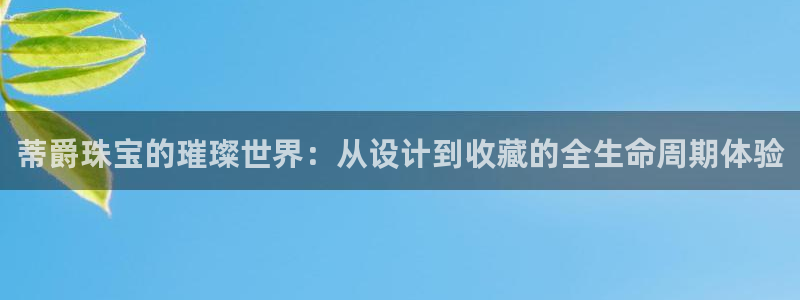 开丰娱乐官网登录网址：蒂爵珠宝的璀璨世界：从设计到收藏的全生命周期体验