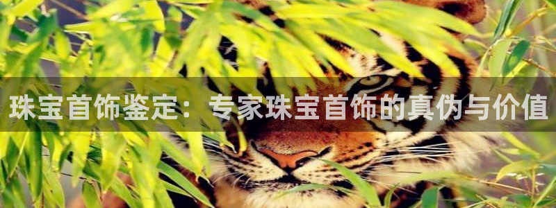 开丰娱乐于六七五一38：珠宝首饰鉴定：专家珠宝首饰的真伪与价值