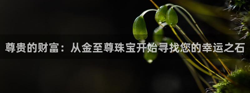 开丰娱乐靠谱吗：尊贵的财富：从金至尊珠宝开始寻找您的幸运之石