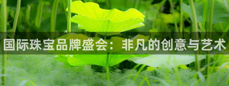 开丰娱乐登入地址：国际珠宝品牌盛会：非凡的创意与艺术