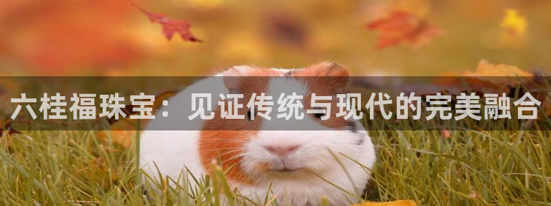 开丰娱乐天7O667：六桂福珠宝：见证传统与现代的完美融合